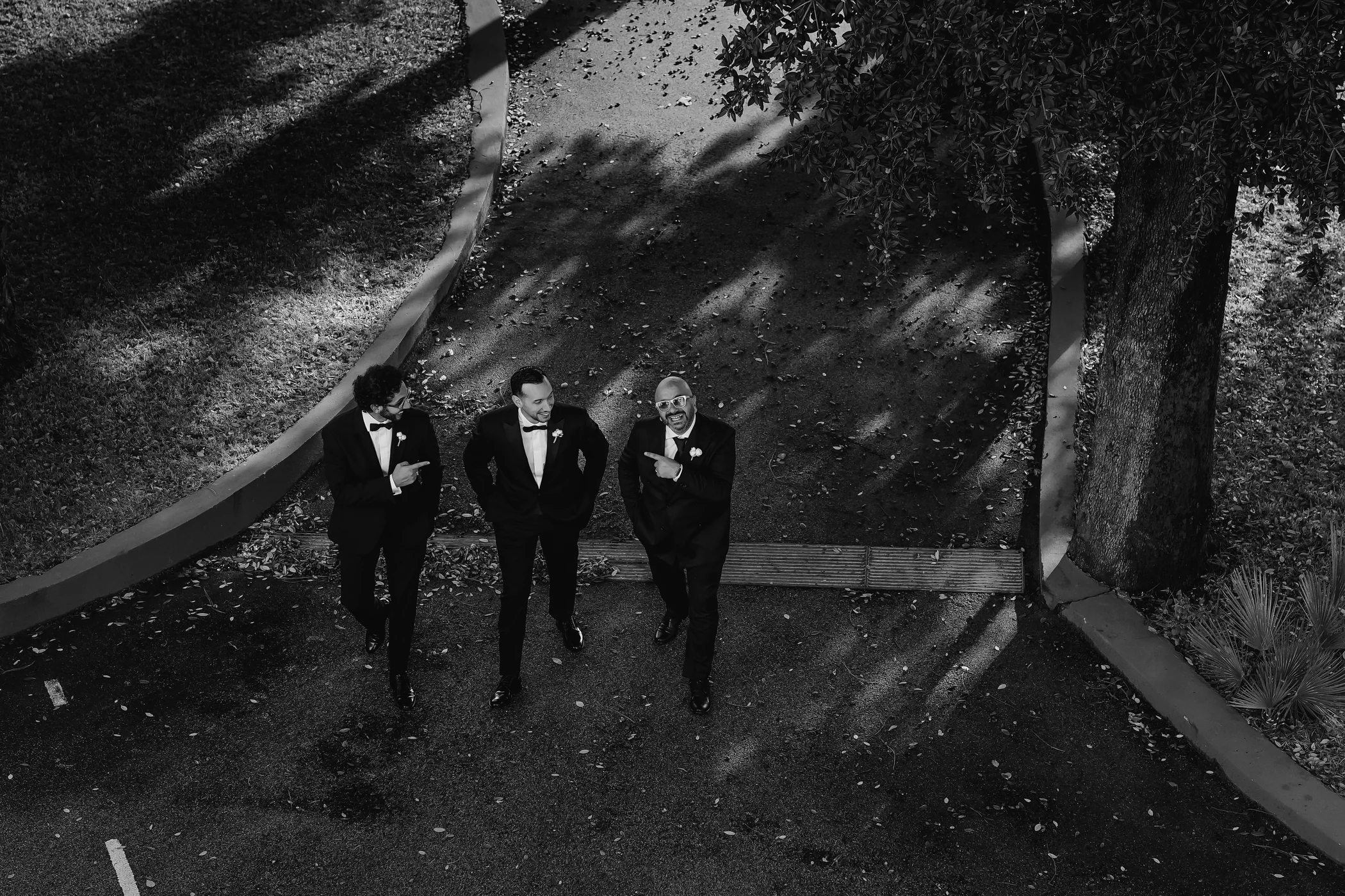 Wedding party walking among trees in black and white, photography by Mauro Silvestre